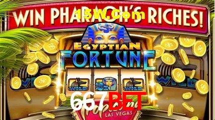Avaliações dos Jogadores 667Bet